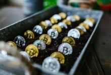 profitable stock investment strategies