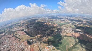 sector development progress summary