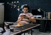 sector development scorecard numbers