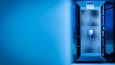 access ssapunjaborg resources services