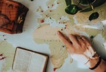 complete search guide online