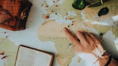 complete search guide online