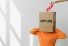 enterprise insight compendium overview