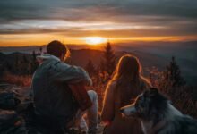 explore music at songx pk