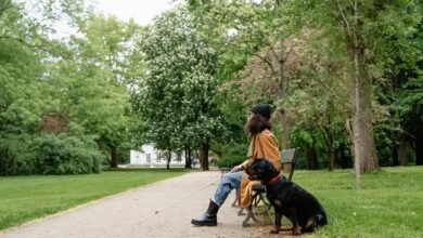 full access guide list