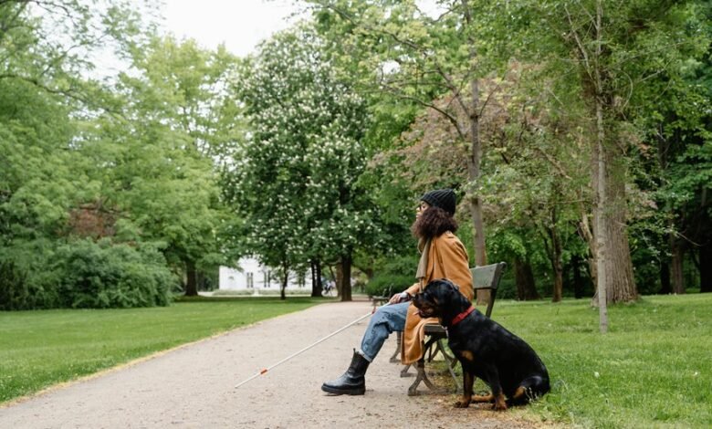 full access guide list