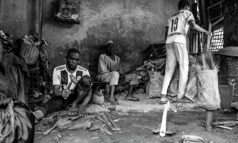 spellcheck seo tools comparison