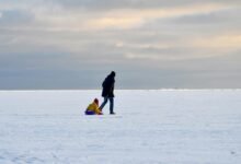 winter activities for children