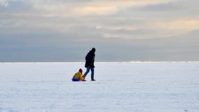 winter activities for children