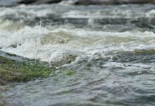 alpha stream dynamics identifier 653650020