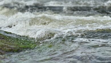 alpha stream dynamics identifier 653650020