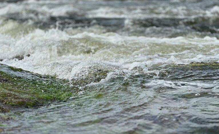 alpha stream dynamics identifier 653650020