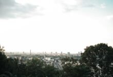 bold expansion market advantage