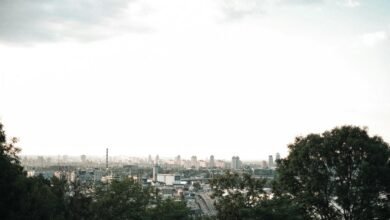 bold expansion market advantage