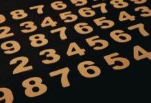 full details about 0555 555 1500