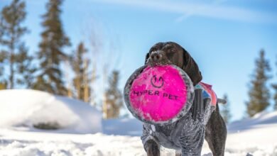 hyper cascade of cyber orbit