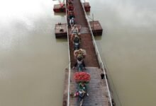 quantum bridge market flow details