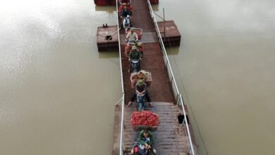 quantum bridge market flow details