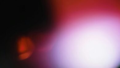 radiant matrix fusion identifier