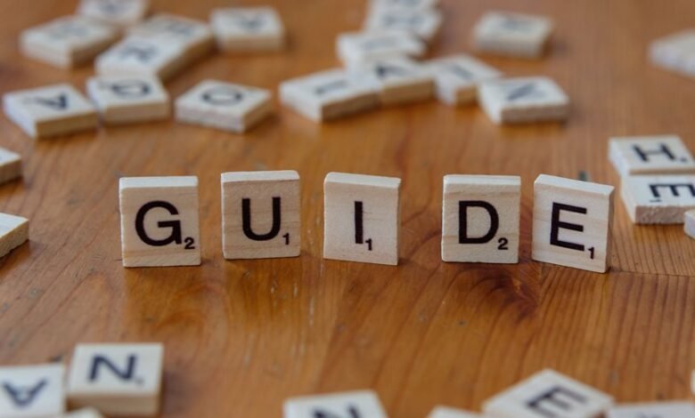 a beginner s guide overview