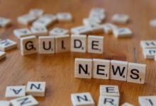what is 242303834 guide