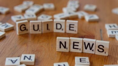 what is 242303834 guide